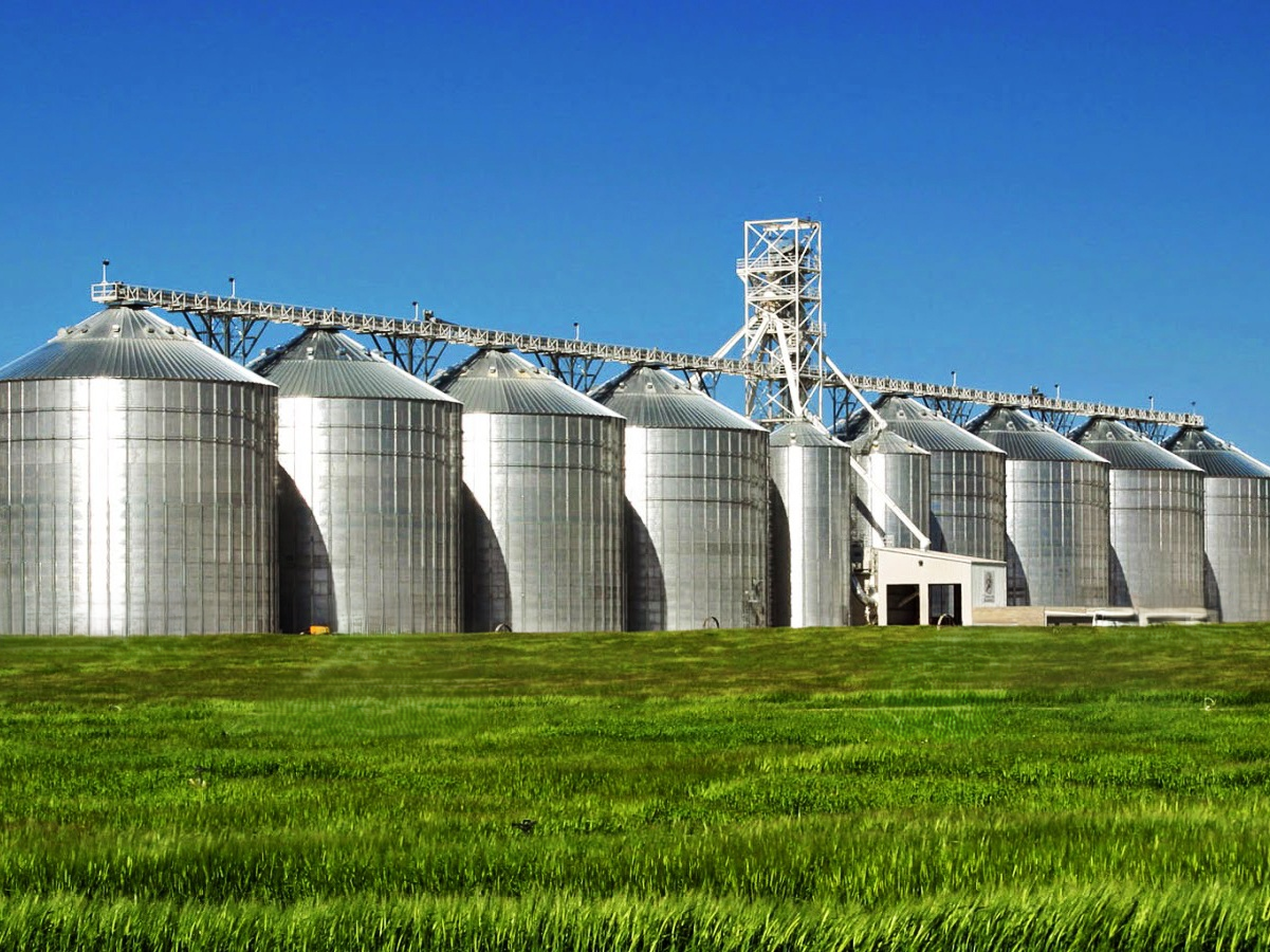 Проект зерноочистительного комплекса. Воронежская область